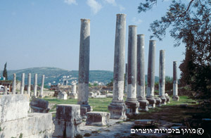 שרידי העיר סבסטי בשומרון