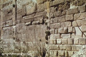 קיר התמך המזרחי של הר הבית