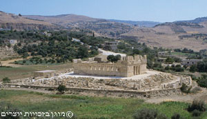 שרידי ארמון קצר אל עבד (מבצר העבד)