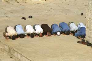 מוסלמים מתפללים