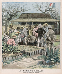 צרפתים מלמדים את התושבים המקומיים עבודות גינון, מדגסקר, 1897