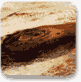 אלבום הנופים של מאדים