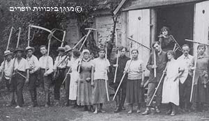 קבוצה מחברי "החלוץ" בהכשרה לפני עלייתם, 1919